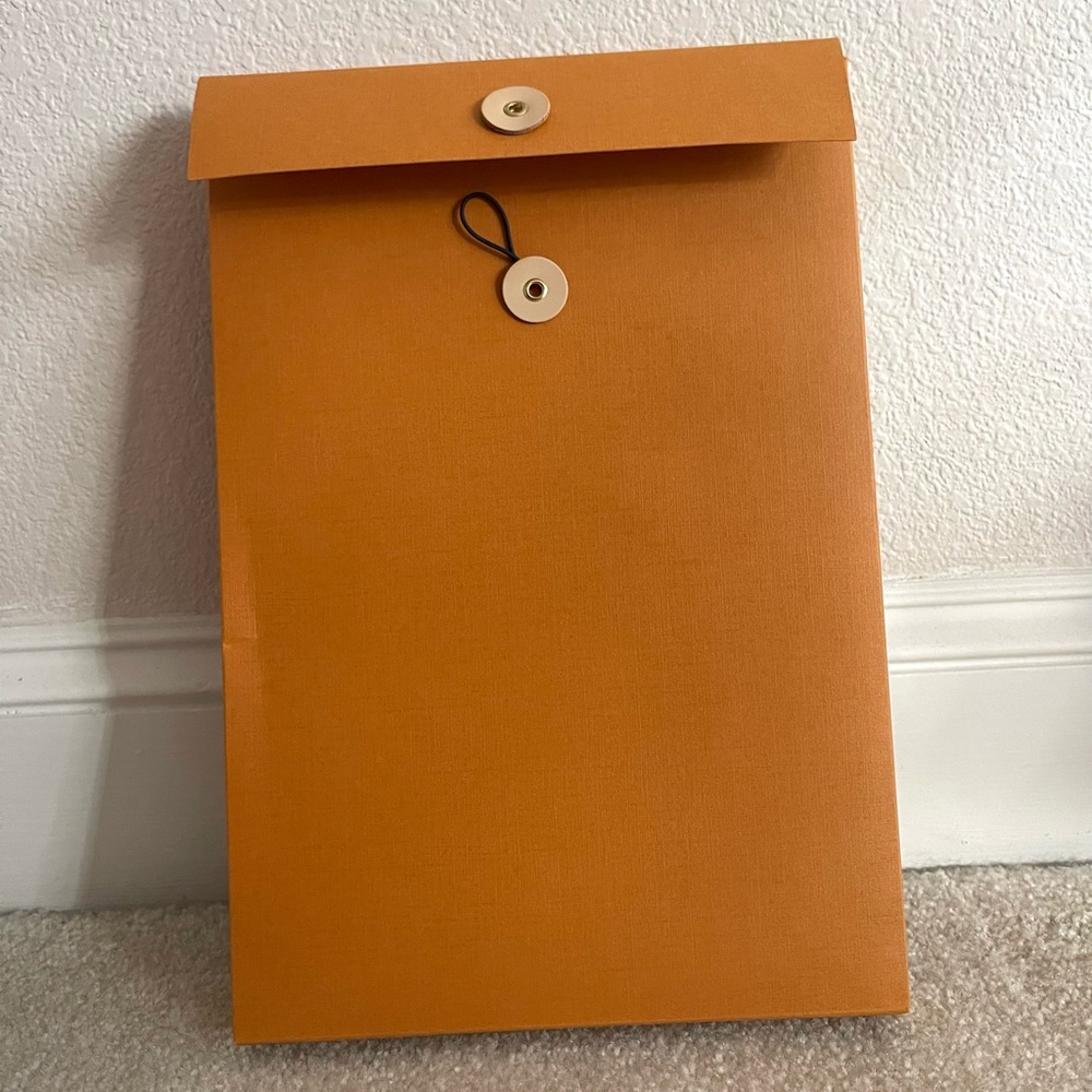 Louis Vuitton Orange Folder/Case